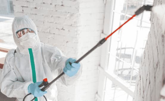 disinfezione di una miscela di acqua e ozono