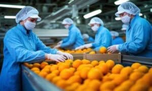 Strategia di sanificazione efficiente